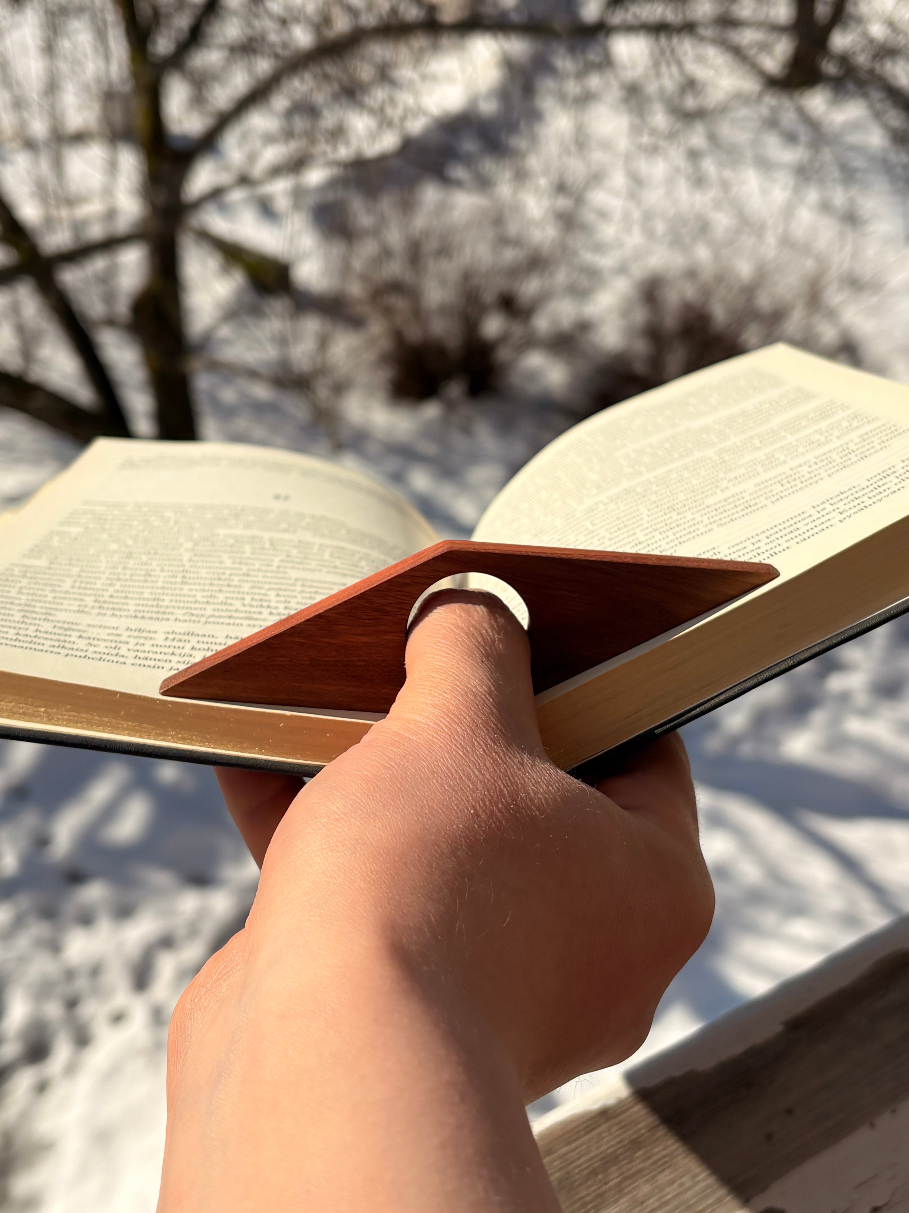 Sivupaino rautatammesta