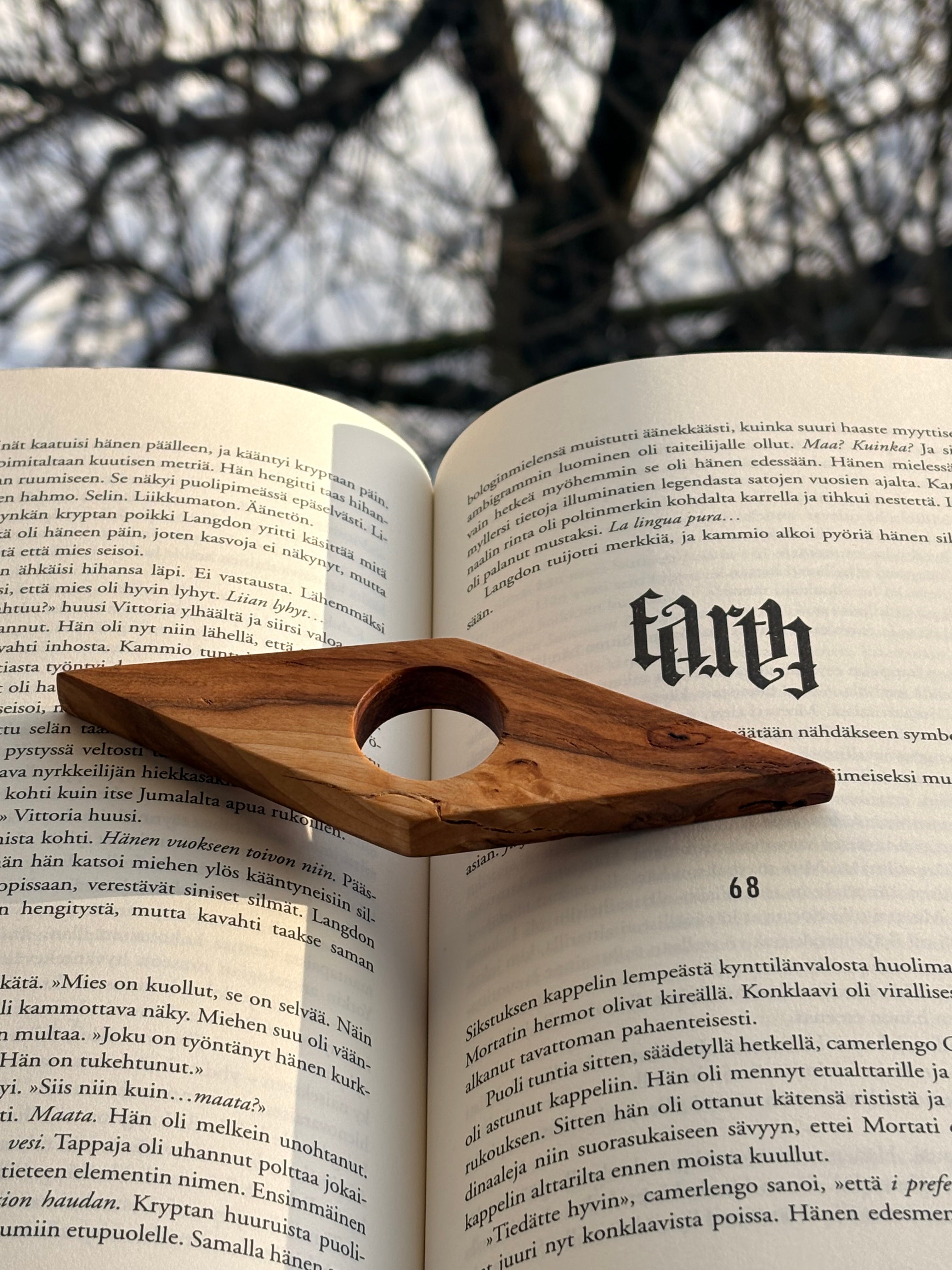 Sivupaino visakoivua timantti