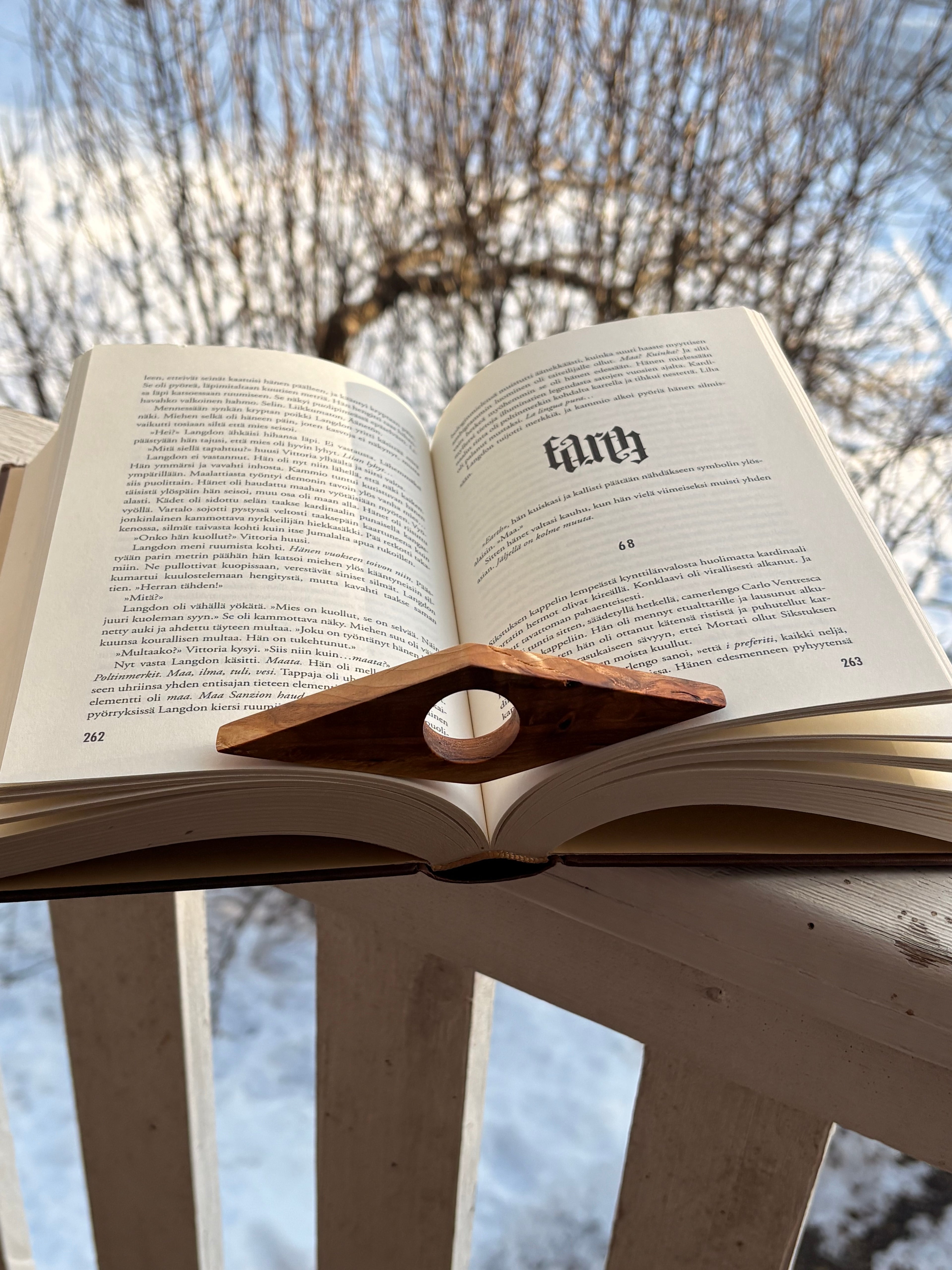 Sivupaino visakoivua timantti