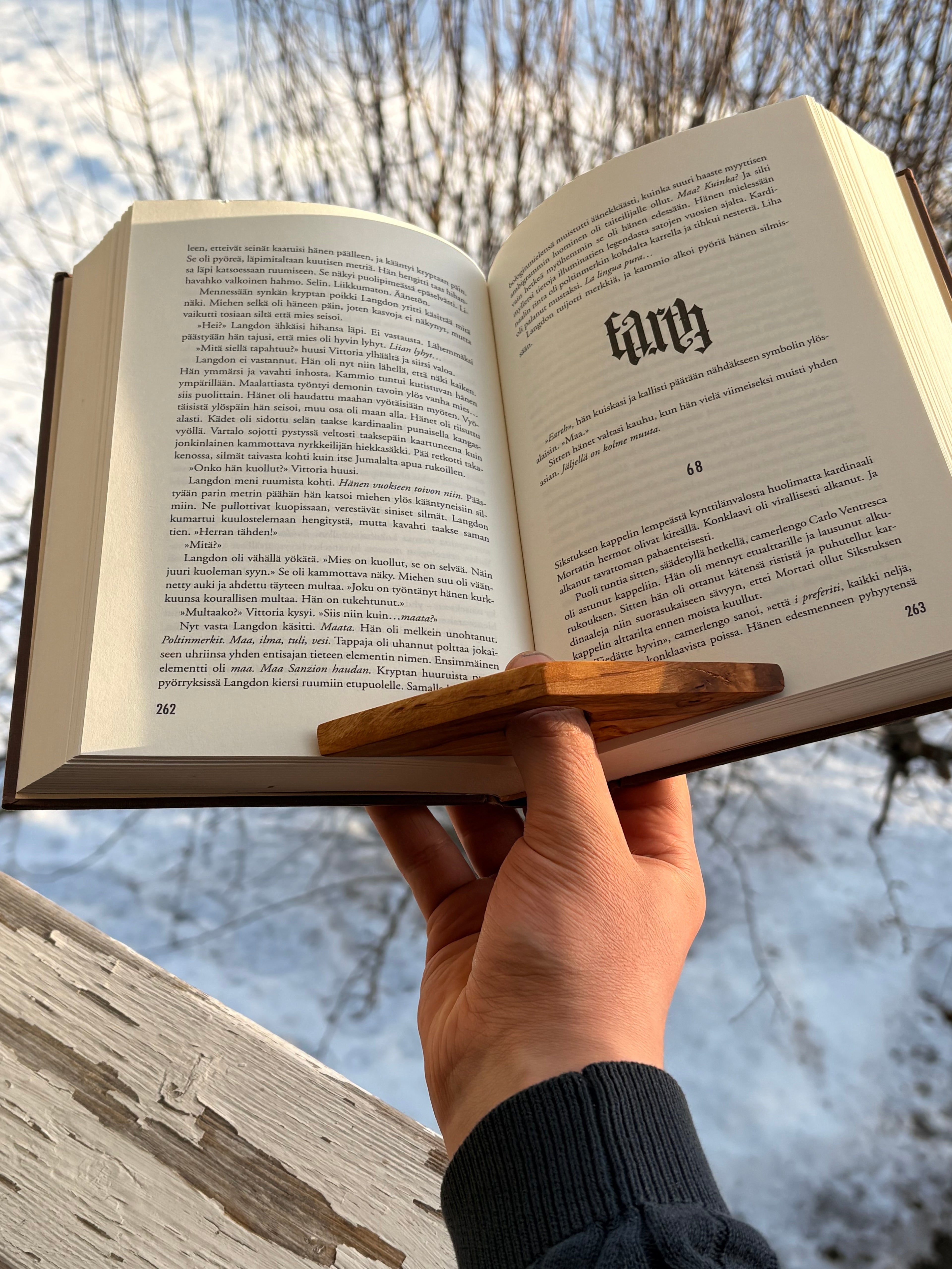 Sivupaino visakoivua timantti