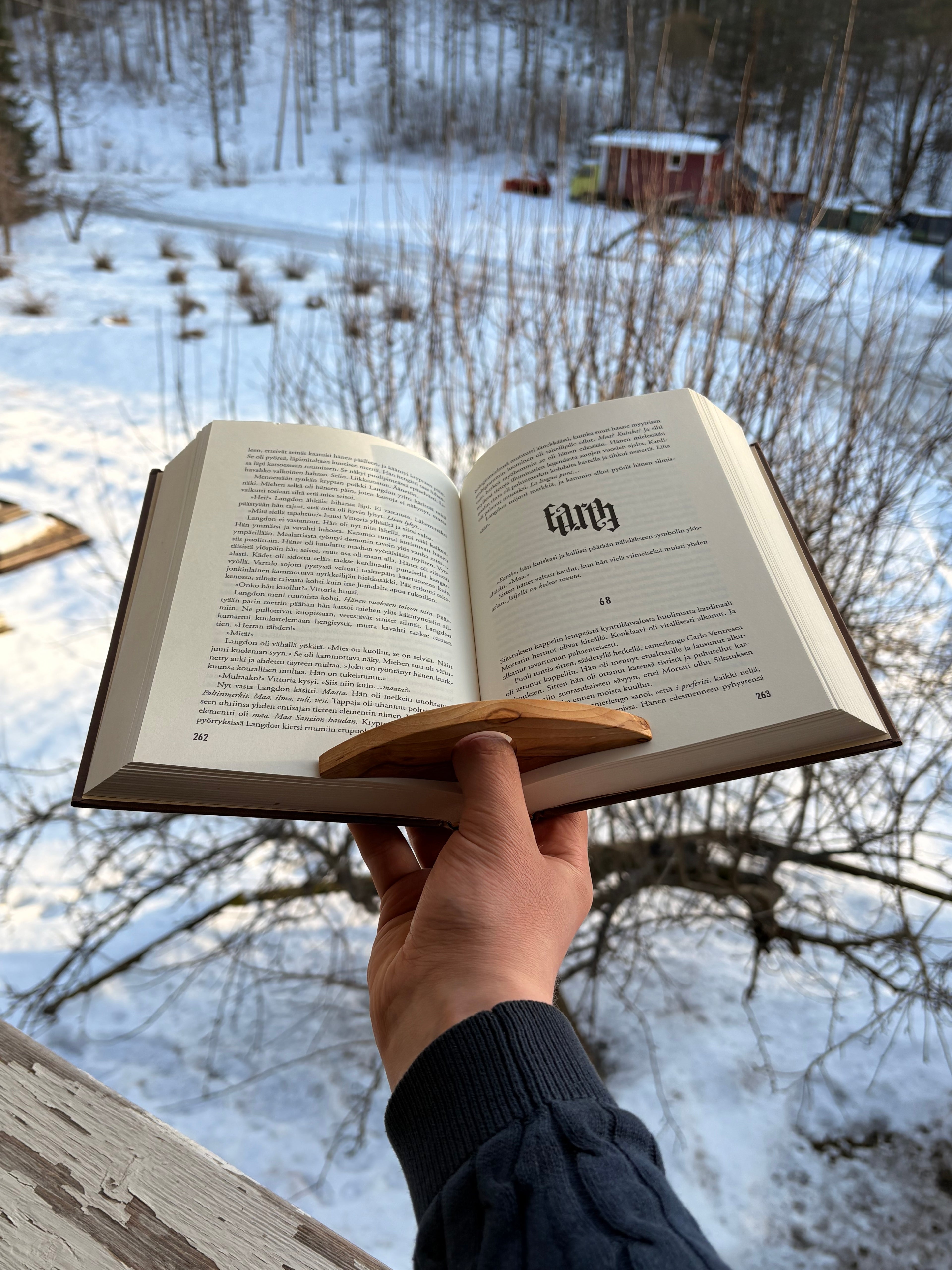 Sivupaino visakoivua kaari