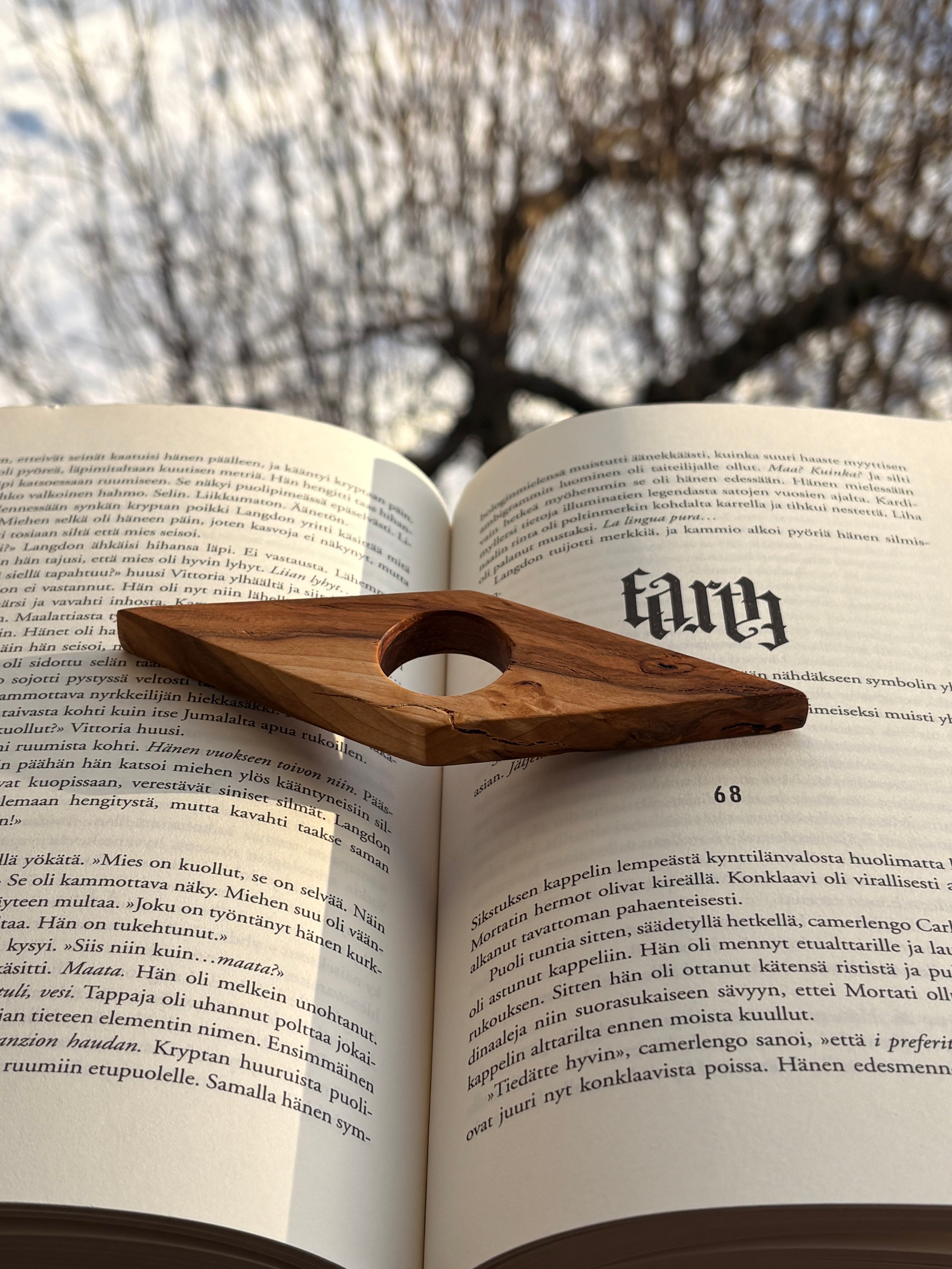 Sivupaino visakoivua timantti