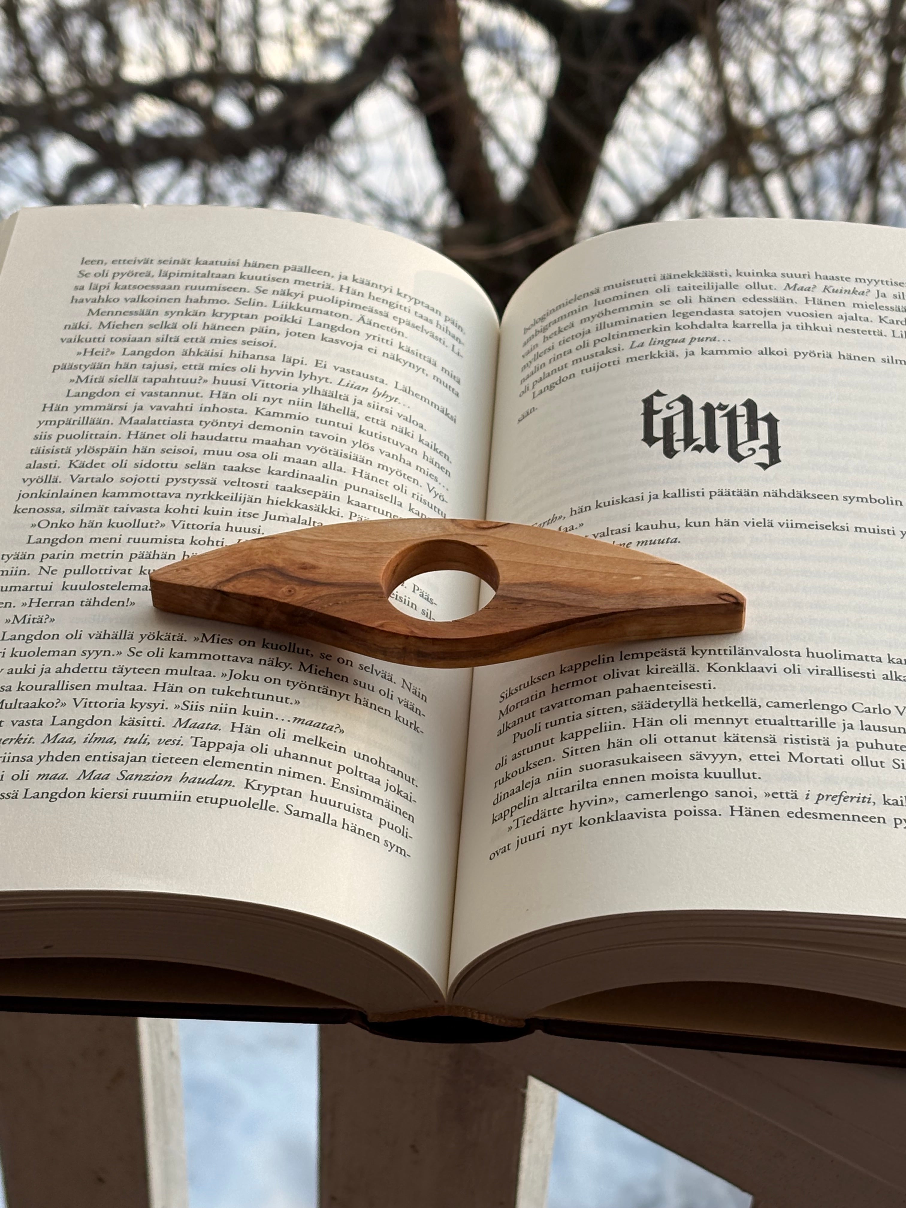 Sivupaino visakoivua kaari