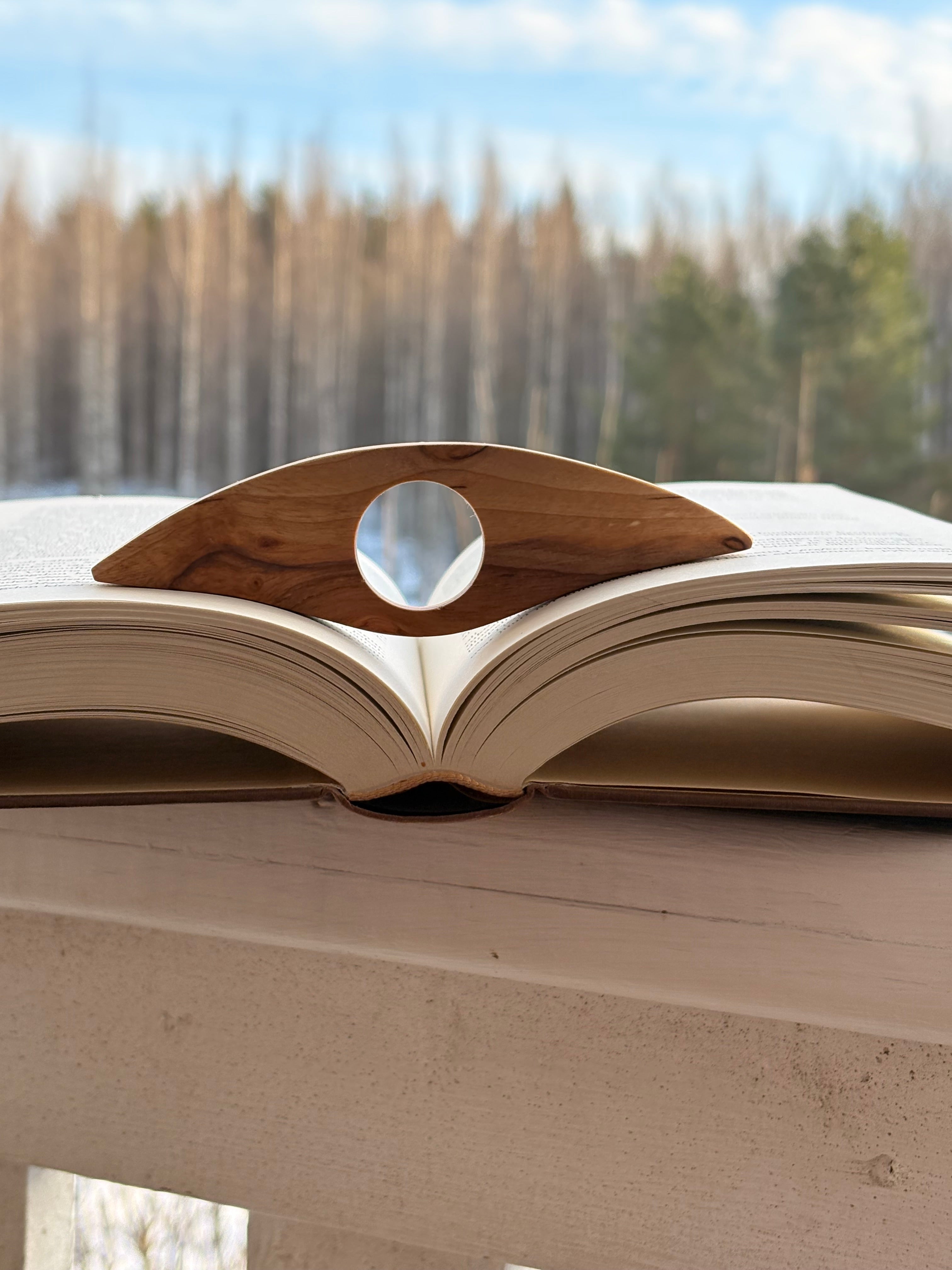 Sivupaino visakoivua kaari