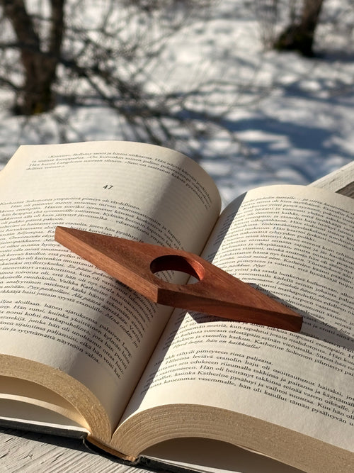 Sivupaino rautatammesta