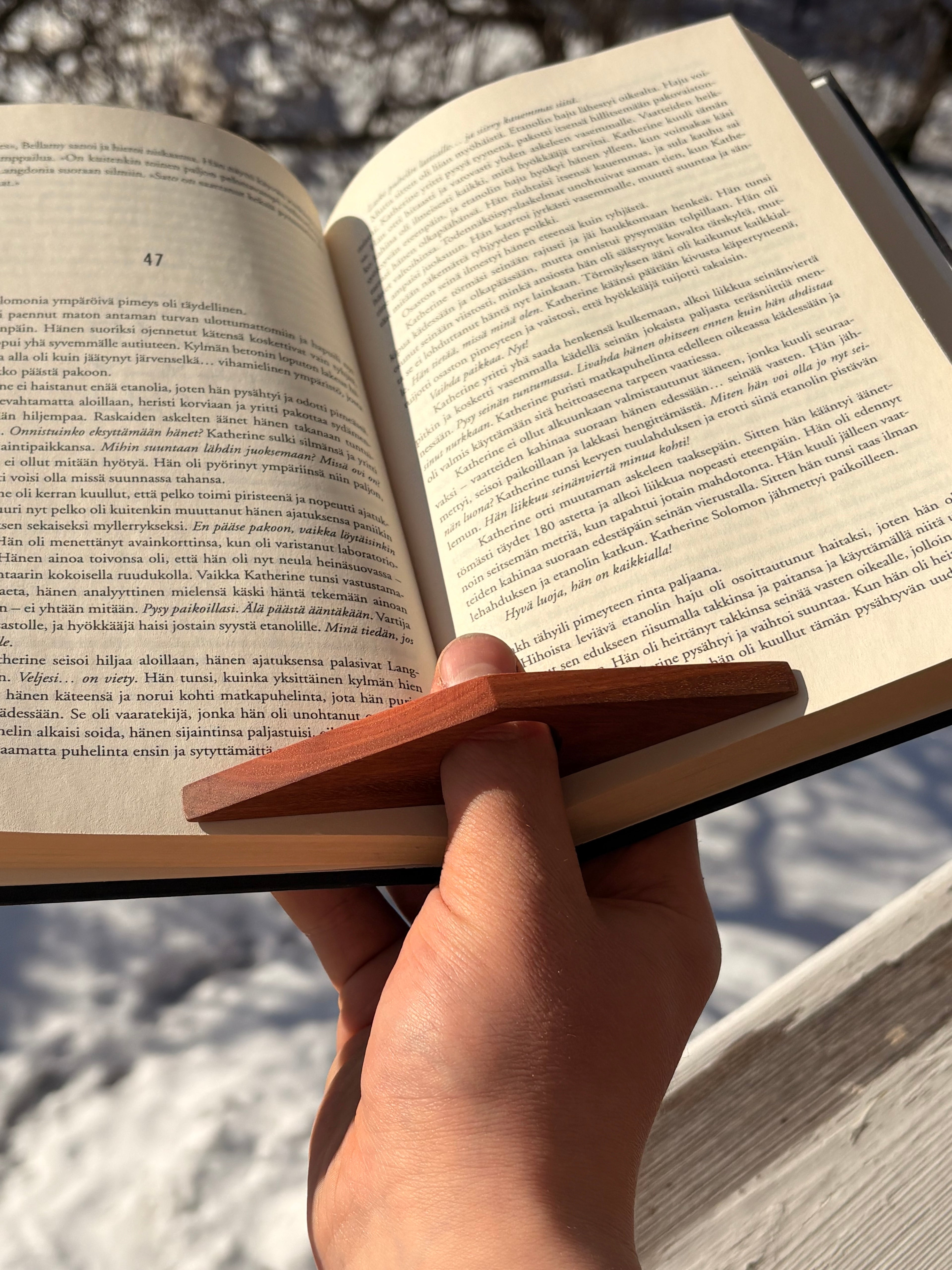 Sivupaino rautatammesta