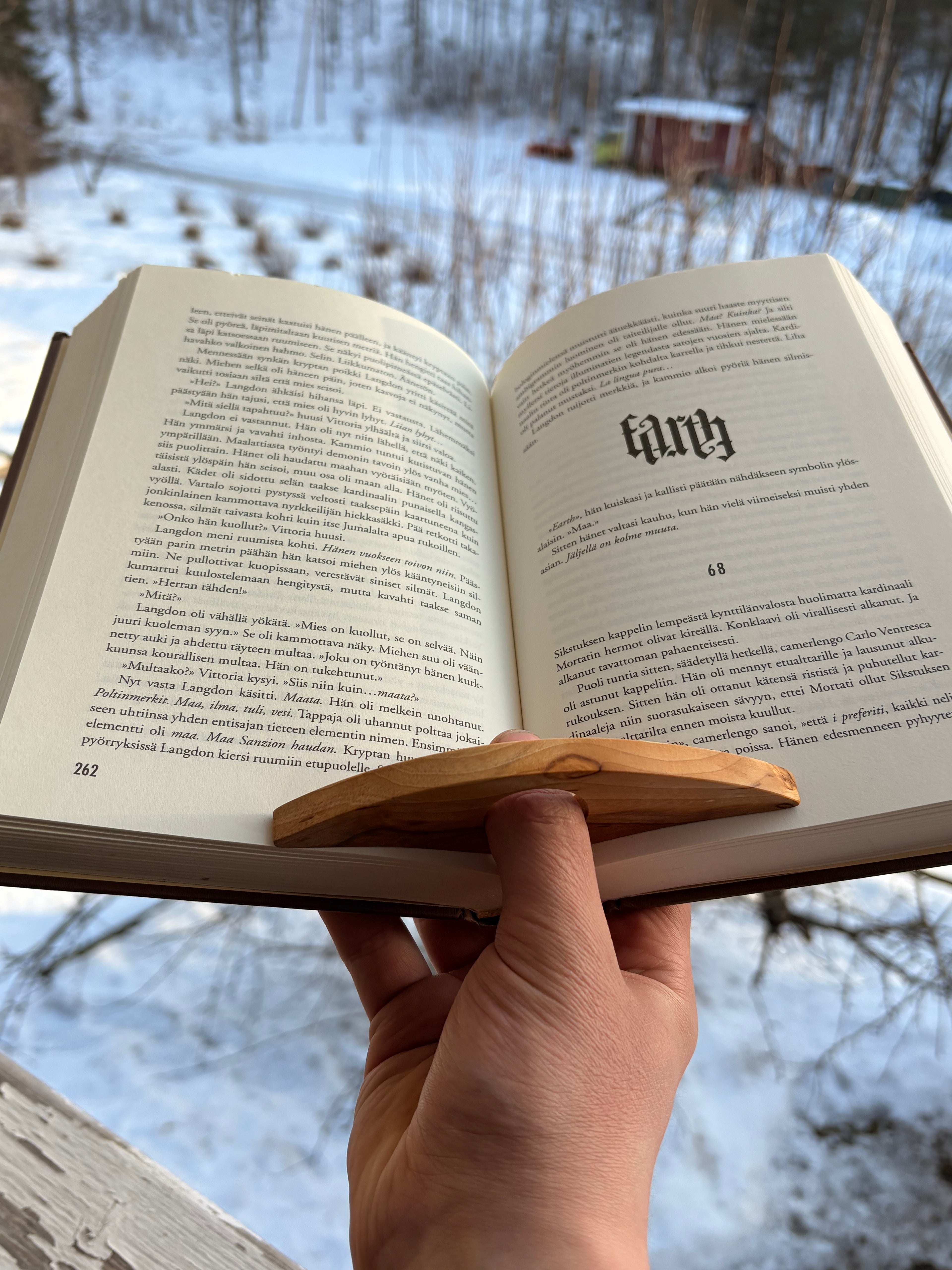 Sivupaino visakoivua kaari